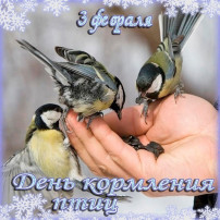 "3 февраля – Международный День кормления птиц!" "3 февраля – Международный День кормления птиц!".